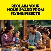 Raid Flying Insect Killer Bug Spray, Kill Flies & Other Bugs Indoors & Outdoors, 15 oz, 2 Count