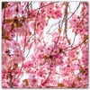 Picture-Tiles.com: Flowers Ceramic Tile Wall Mural WAL500638-55M. 30"W x 30"H using (25) 6" x 6" Ceramic Tiles-Satin Finish