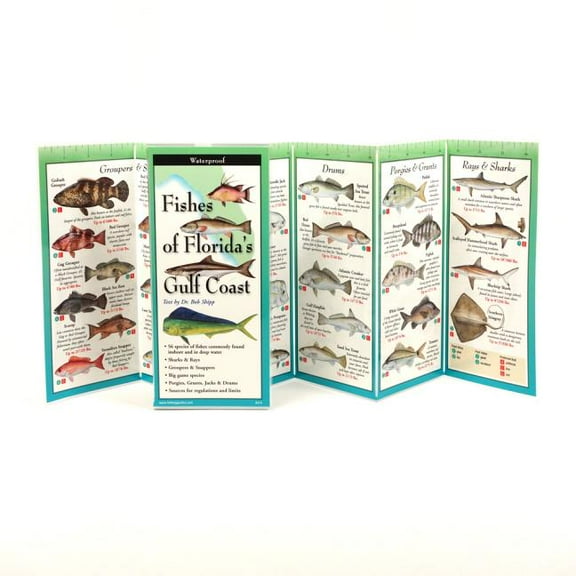 FoldingGuides: Fishes of the Florida's Gulf Coast (Other)