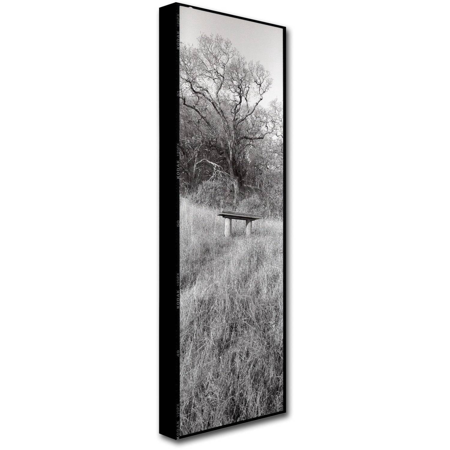Trademark Fine Art "Novato Oak" Canvas Art by Alan Blaustein
