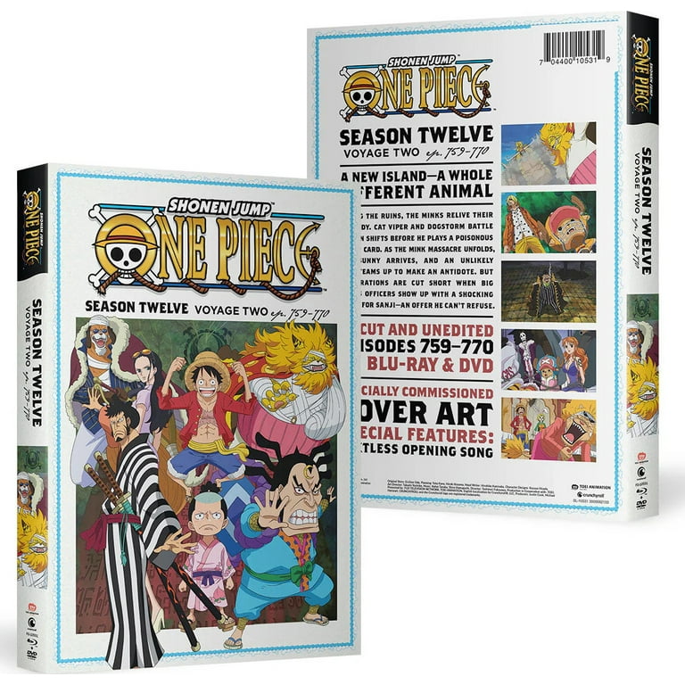 New One Piece: Season Twelve, Voyage Two (Blu-ray + DVD) - Walmart.com