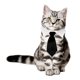 thumbnail image 3 of Gato perro collar pajarita ajustable algodón mascota Formal corbata para fiesta de boda Tmvgtek Oficina Multiescena Multifunción, 3 of 6