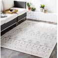 thumbnail image 2 of Mark&Day Outdoor Rugs, 2x3 Veldwijk Global Indoor/Outdoor Medium Gray Area Rug, Non Shedding Cream Grey Carpet for Patio, Porch, Deck, Bedroom, Living Room or Kitchen (2' x 2'11"), 2 of 4