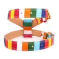 thumbnail image 3 of PetsHome - Arnés para mascotas ajustable sin tirones seguro para perros para caminar al aire libre para perros arcoíris mediano, 3 of 5