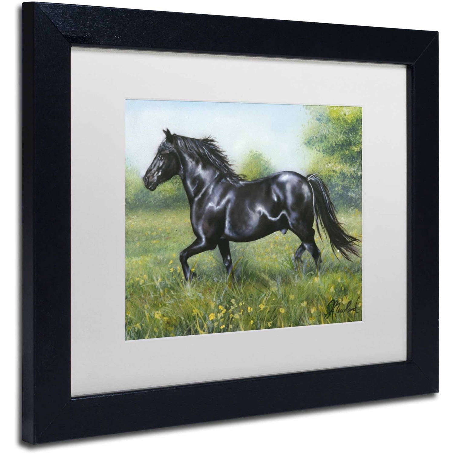 Trademark Fine Art 'Free Spirit' Canvas Art by Jenny Newland, White Matte, Black Frame