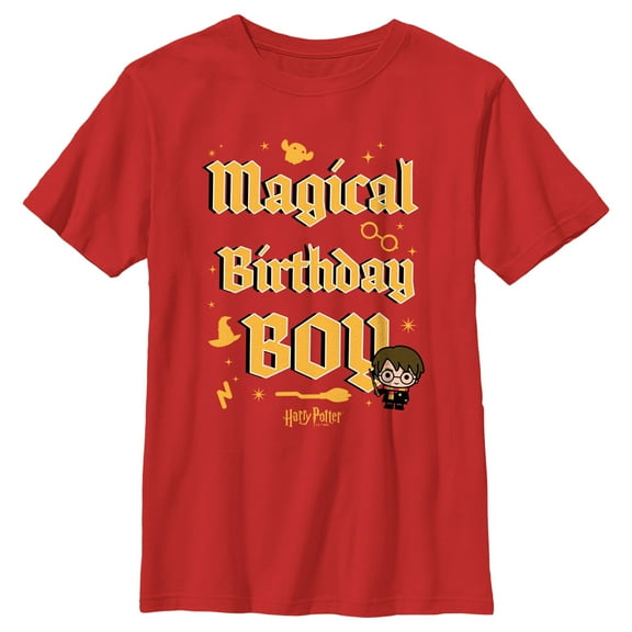Boy's Harry Potter Magical Birthday Boy Icons Graphic Tee Red Small