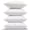16x16 Inch-4, variant on 20 X 20 Outdoor Pillow Inserts - Pack Of 4 Pillows Water Resistant Throw Square Decorative Couch Sham Cushion Stuffer 20 Inches