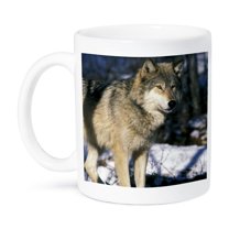 3dRose, North America, USA, Minnesota. Wolf (Canis lupus) - US24 GJE0011 - Gavriel Jecan, 11oz Mug