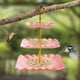 thumbnail image 5 of Bebedero Colgante de Vidrio para Pájaros de 10 Pulgadas | Bebedero para Colibrí de Jardín Exterior | Bebedero Decorativo para Patio | Cuenco Poco Profundo de Fácil Limpieza | Cadenas Antióxido | 1, 5 of 6