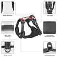 thumbnail image 3 of Vsdgher Beautiful Flower Pattern Dog Harness,No Pull Pet Harness with Soft Padded Handle,Adjustable Reflective Vest with 2 Buckles,4 Slide Buckles,S-XL Large, 3 of 4