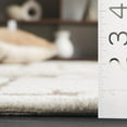 thumbnail image 5 of SAFAVIEH Ebony Jaimie Geometric Area Rug, Ivory/Brown, 4' x 6', 5 of 11