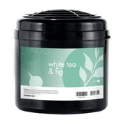 ScentAir Whisper Home Plug-in Refill, Air Freshener Fragrance Cartridge, White Tea & Fig, 1 Pack