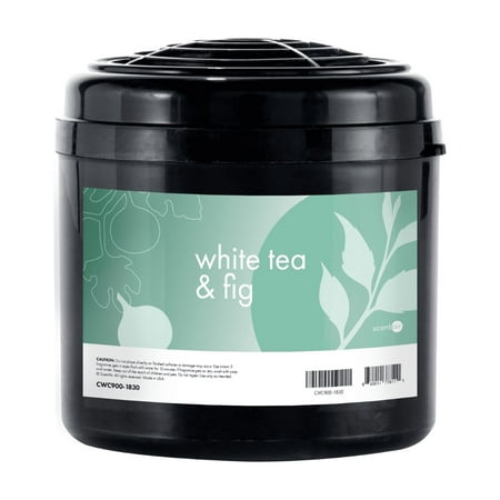 ScentAir Whisper Home Plug-in Refill, Air Freshener Fragrance Cartridge, White Tea & Fig, 1 Pack