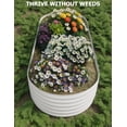 thumbnail image 7 of Adoolla Outdoor Galvanized Raised Garden Bed, Oval Elevated Planter Box for Growing Vegetables Flowers and Herbs, 7 of 7