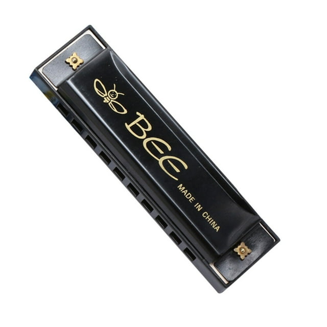 MasteelfCA 10 Hole Plastic Harmonica Music Instrument for Beginner Students Kids Gift (Black)