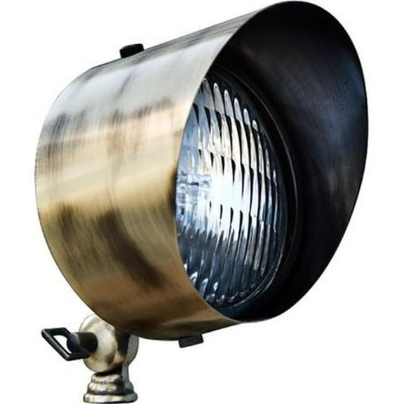 Dabmar Lighting LV30-L9-64K-ABS 12V Screw LED 9W 64K Solid Brass Directional Flood Light with Hood, Antique Brass