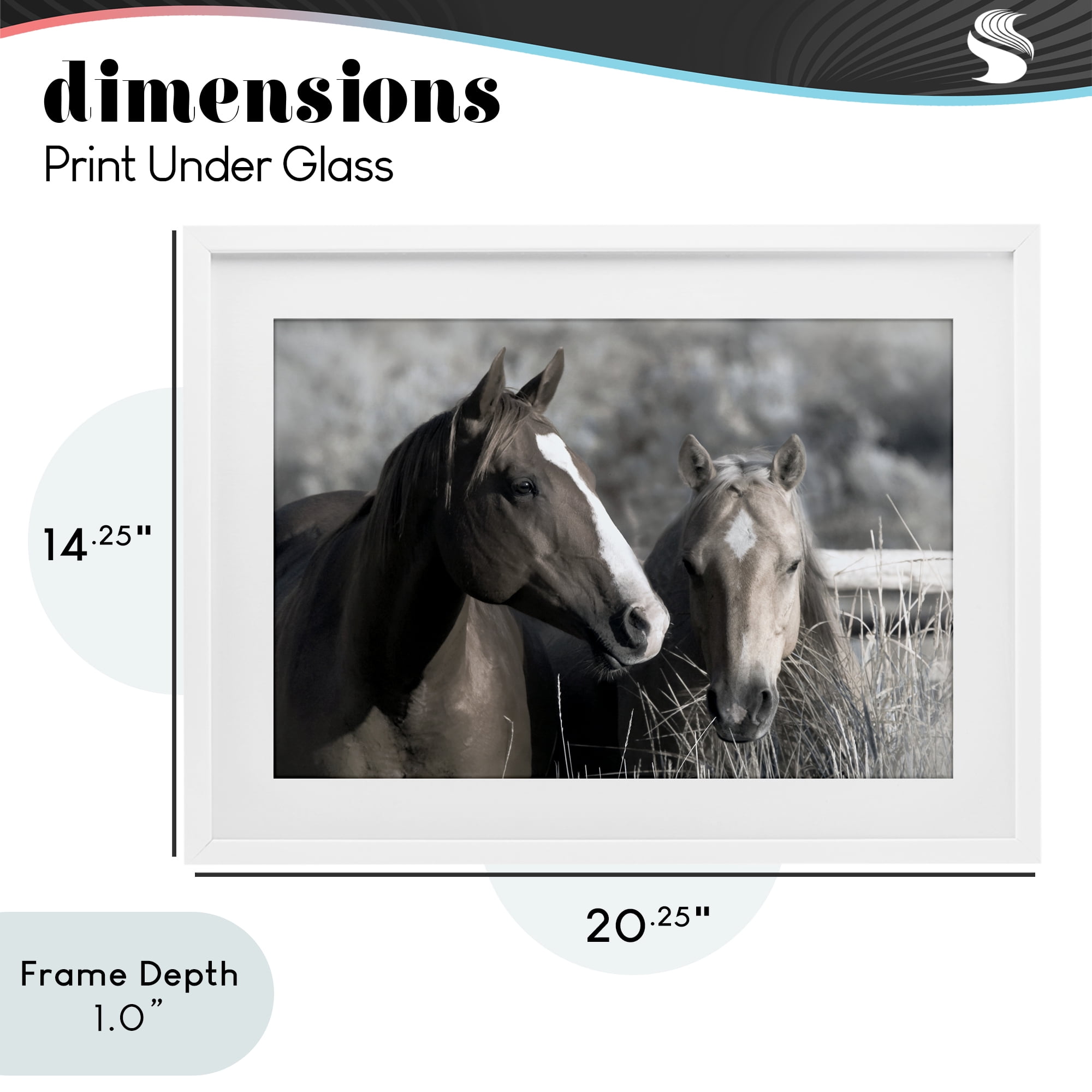 Stupell Industries Content Horses In Pasture White Framed Print Under Glass, design by Danita Delimont