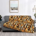 thumbnail image 2 of Fotbe Zebra Manta de Franela con Estampado, Manta Ultrasuave para Cama, Sofá, Auto, Hipoalergénica y Antibolitas-80"x60", 2 of 6
