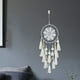 thumbnail image 3 of ¡Gran Oportunidad de Ahorro!, Decoración de plumas para colgar en la pared del coche, decoración del hogar y la habitación Akmoler, 3 of 7