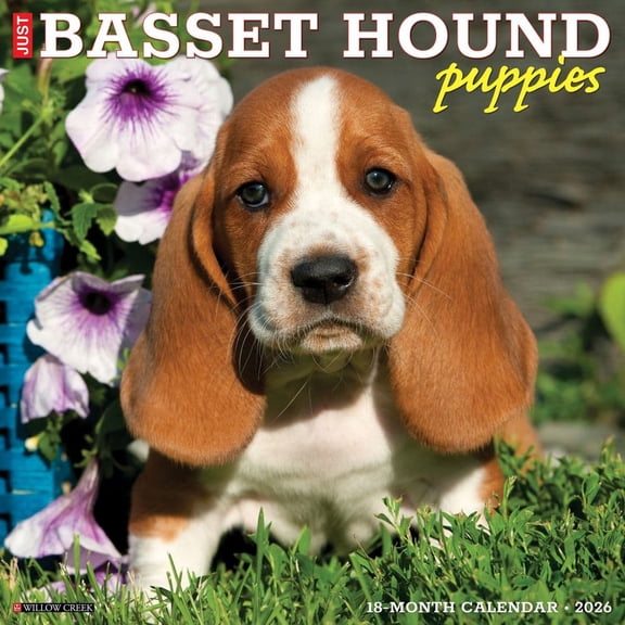 Willow Creek Press, Just Basset Hound Puppies 2026 Wall Calendar, 12'' X 12'', 18-Month Calendar with Stapled Binding
