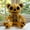Brown, variant on 2026 New Bear Plush Toys, Stuffed Animals Toys Bear Soft Pillow Toys, Cute Cartoon Dolls, Figurines, Gifts，Double, Best Birthday Gifts for Holiday Xmas Easter for Friend and Family (Bear, 2PCS)