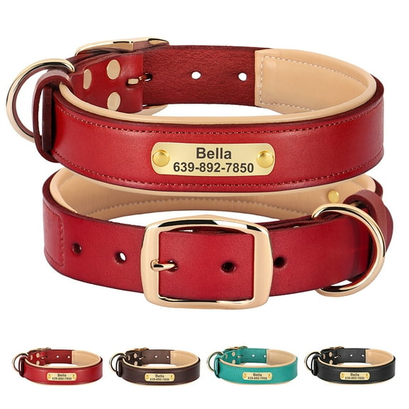 Didog Personalized Genuine Leather Padded Dog Collars Engraved Nameplate with D ring