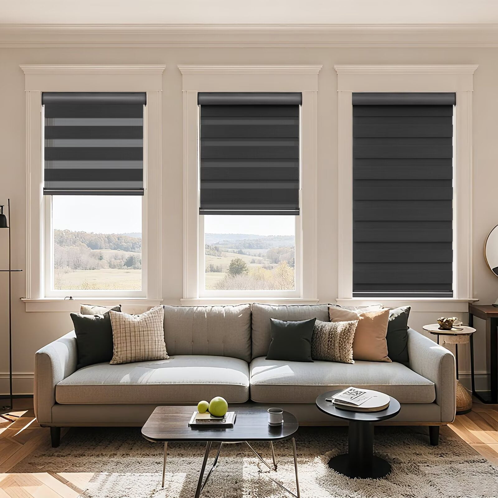 MYshade Cordless Zebra Blinds Black-46"W*72"H Pull Down Roller Window Shades Double Layer Light Control Free Stop Window Shades Day and Night Blinds Easy Installation for Home
