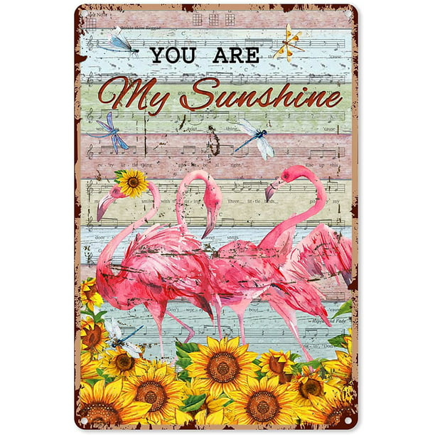 Funny Flamingo Gifts Just A Girl Who Loves Flamingos and Beaches Tin Sign  Decoration Vintage Chic Metal Poster Wall Decor Art Gift for Party Bathroom  Bedroom 12x8 inch - Walmart.com