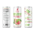 thumbnail image 3 of Elephant World 100% Natural Pink Guava Guayaba Juice Canned | NON GMO | 10.8 oz (Pack of 12), Guava, 3 of 6