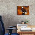 thumbnail image 5 of Epic Graffiti 'The Eagle' by Ata Alishahi, Giclee Canvas Wall Art, 16"x12", 5 of 8