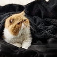 thumbnail image 2 of GentleSoft Sherpa Fleece Blankets Queen Size for Bed - Thick and Warm Throw for Women and Men, Soft Fuzzy Plush Queen Blanket for Winter, Black, 90x90 Inches, 2 of 7
