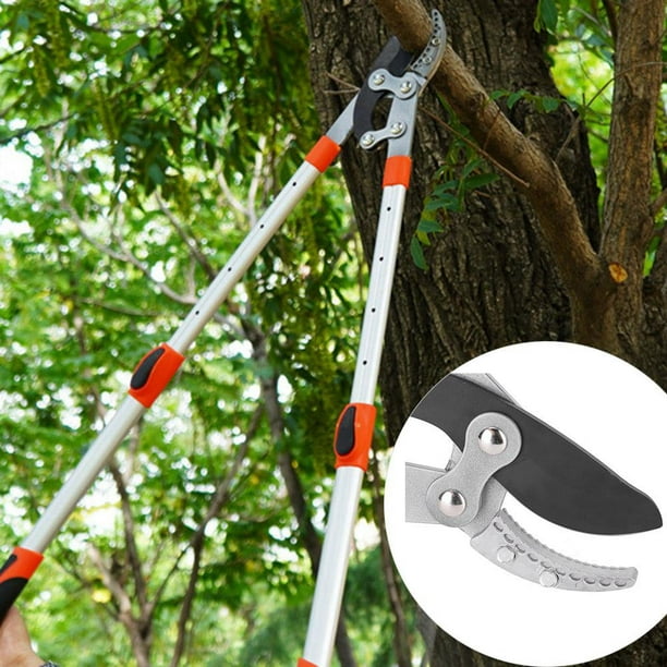 Le Jardinier Tient Dans Ses Mains De Grands Ciseaux Pour Couper Des Branches  D'arbres Un Homme Dans Le Jardin Avec Des Sécateurs