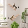 thumbnail image 3 of Qiyester 2 Pack Cat Stairs Wooden Wall-Mounted 4-Steps Cats Stairway Ladder for Perch Platform Supplies, 3 of 10