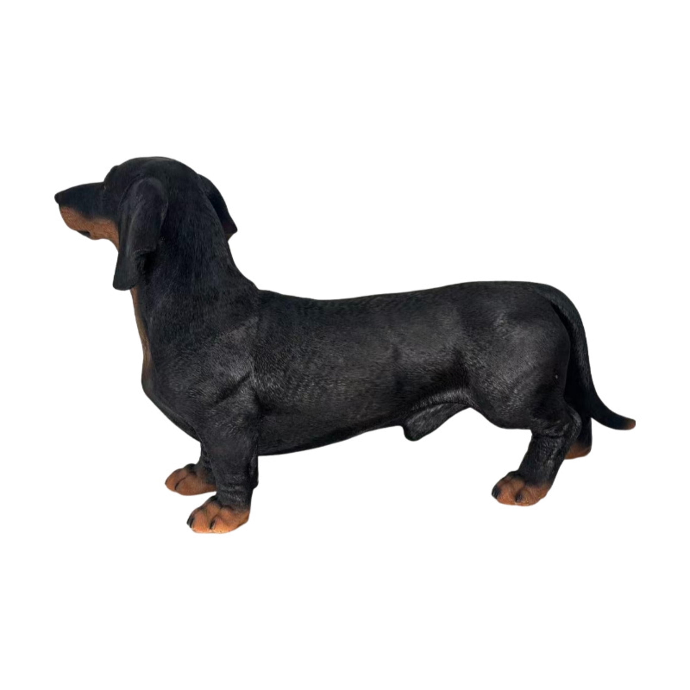 GDF Studio Dachshund Resin Indoor/Outdoor Guardian Statue, Weather-Resistant Decor Figurine for Garden & Courtyard