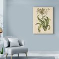 thumbnail image 3 of Trademark Fine Art 'Herbal Botany XX Butterfly Crop' Canvas Art by Wild Apple Portfolio, 3 of 3
