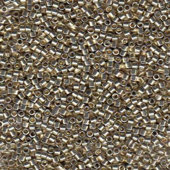 Duracoat Galvanized Silver Miyuki Delica Beads 10/0 DBM1831-TB