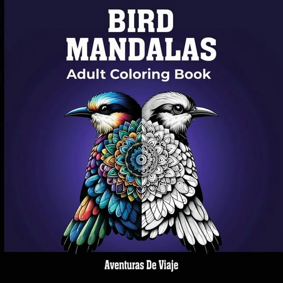 Bird Mandalas & Painted Moments, (Paperback)