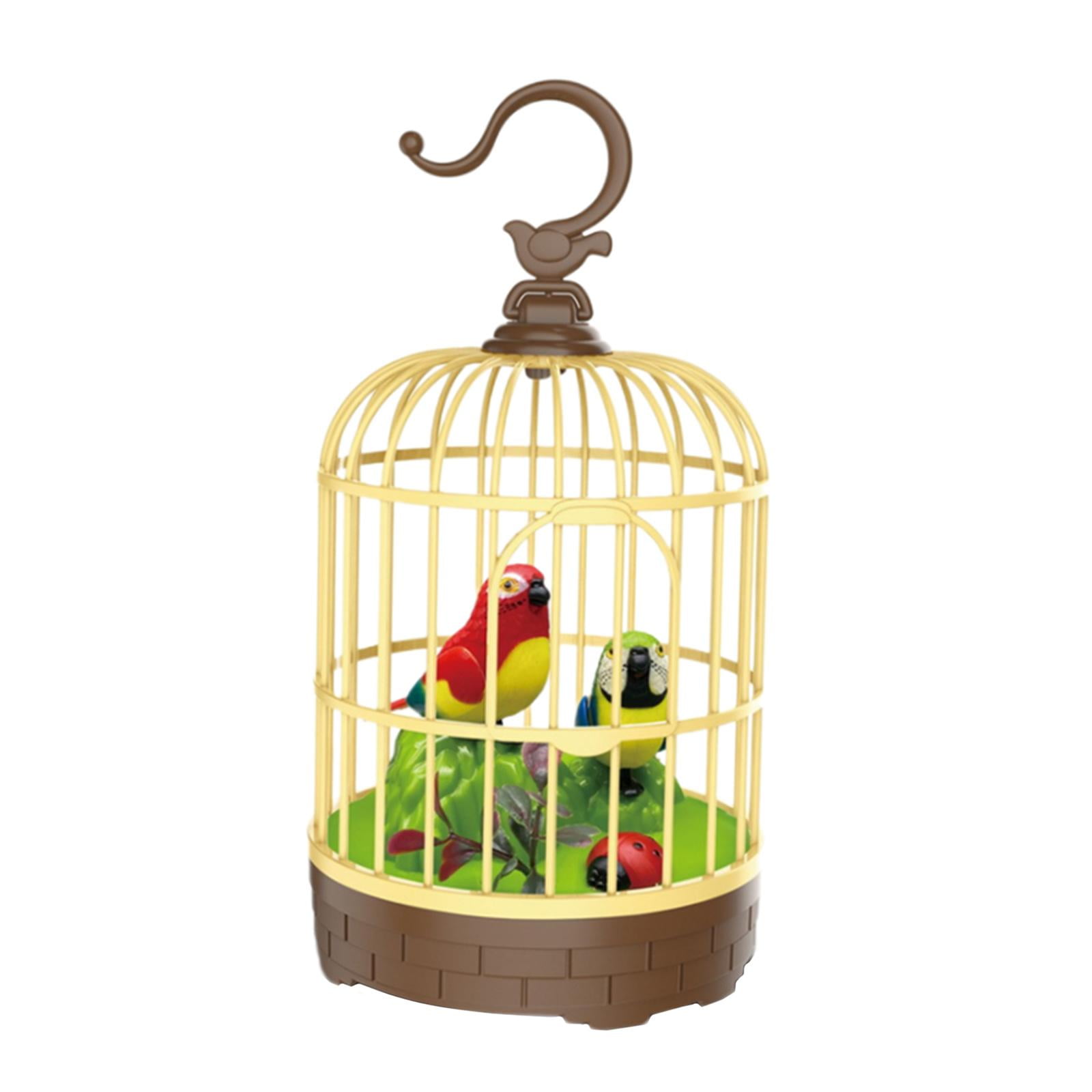 Singing & Chirping Bird in a Cage Moving Beak and Tail Sound Bird in Cage