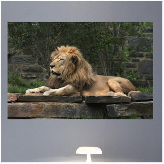 Wallhogs Lion Resting Glossy Wall Mural