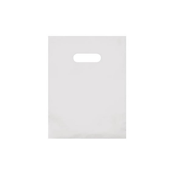 SSWBasics Small Clear Frosted Plastic Merchandise Bags - 9” x 12” - Case of 250 -