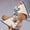 White, variant on Women's Rhinestone & Pearl Platform Slide Sandals, Adjustable Buckle Strap, Open Toe Non-Slip Wedge Slippers, Summer Bling Casual Shoes for Beach, Party, Daily Wear