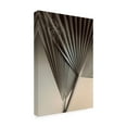 thumbnail image 2 of Ian Winstanley 'Fan Detail 8' Canvas Art, 2 of 3