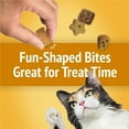 thumbnail image 2 of Friskies Party Mix Cheezy Craze Crunch, Cat Treats 170g, 2 of 9