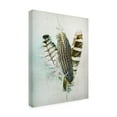 thumbnail image 2 of Trademark Fine Art 'Owl - Guinea Feathers' Canvas Art by Kathy Wolf, 2 of 3