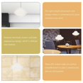 thumbnail image 3 of 2pcs Shaped Lantern Balls Decorative Paper Lanterns Kids Birthday Pompoms, 3 of 4