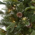 thumbnail image 4 of Nearly Natural Clear Prelit 250 LED Snowed Tipped Mixed Pine Artificial Christmas Tree, 6', 4 of 8