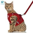 thumbnail image 4 of Deago No Pull Dog Pet Harness With Leash Reflective Soft No Choke Easy Control for Small Dog Cat Outdoor Walking Travel (Red, S), 4 of 9
