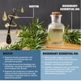 thumbnail image 2 of Growth Formula Shampoo Bar with Biotin and Rosemary Oil | Eco Friendly and All Natural Shampoo Bars for Hair Growth | Paraben Free and Sulfate Free, 2.2 oz bar, 2 of 5