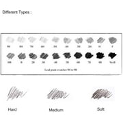 TRH-5.6MM Lead Refills for Metal Automatic Mechanical Graphite Pencil,6pcs 2B 4B 14B Charcoal Lead Refills for Draft Drawing, Shading, Crafting, Art Sketching