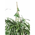 thumbnail image 4 of Cesta colgante con forma de araña casi natural con plantas artificiales, color verde, 4 of 4